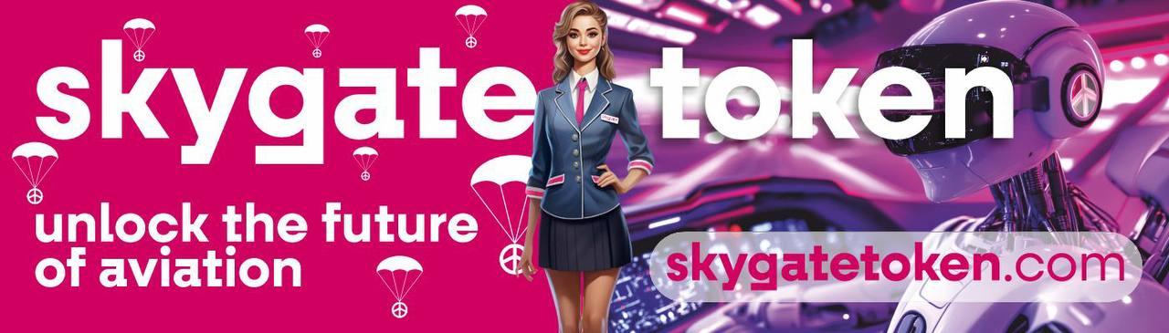 Skygate Network cover