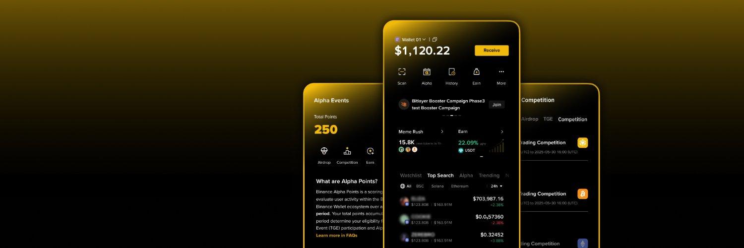 Binance Wallet (New Round) cover