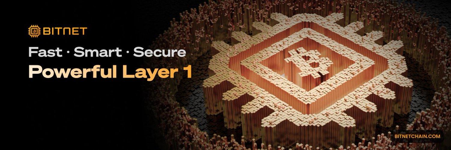 BitNet cover