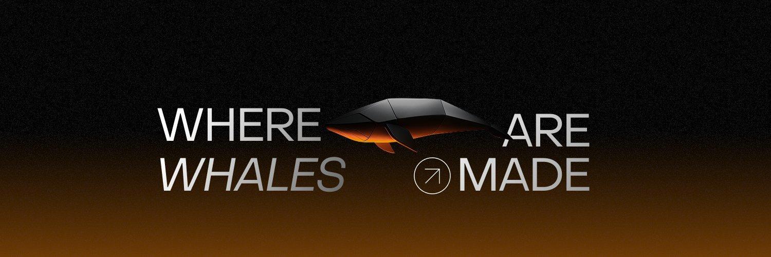 BloFin Exchange cover