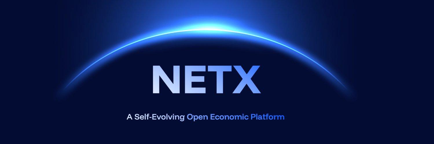 NetX cover