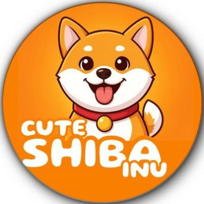 Cute Shiba Inu