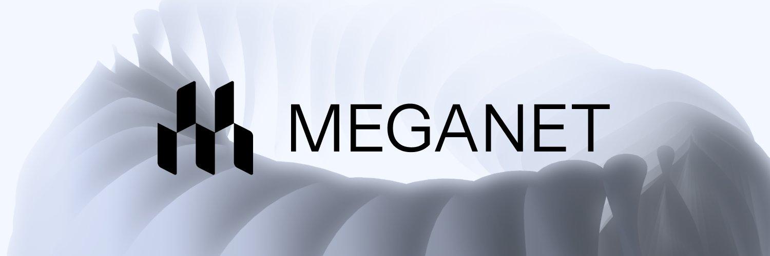 Meganet Network cover