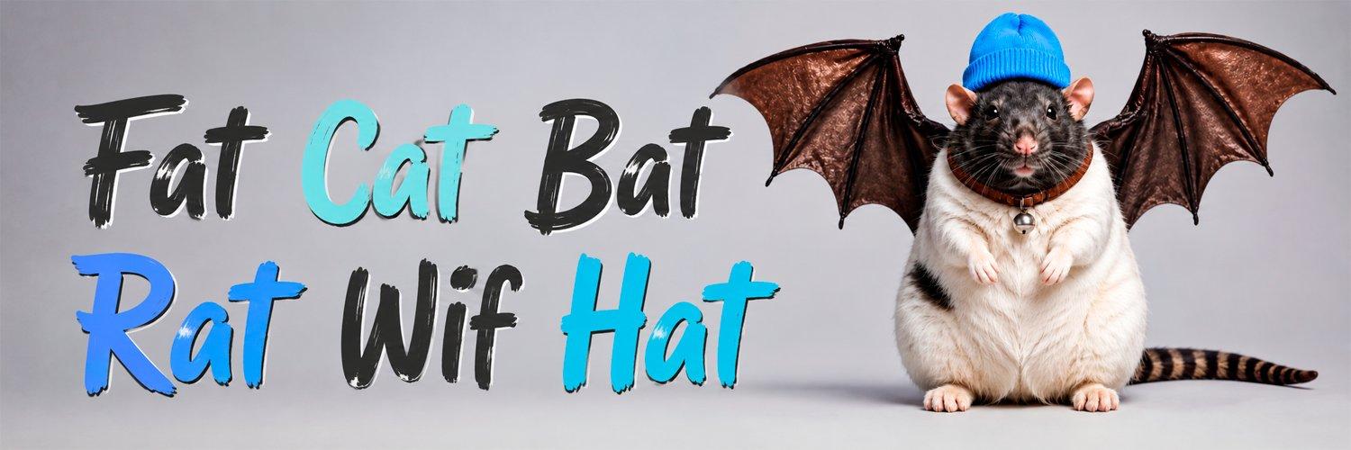 FatCatBatWifHat cover