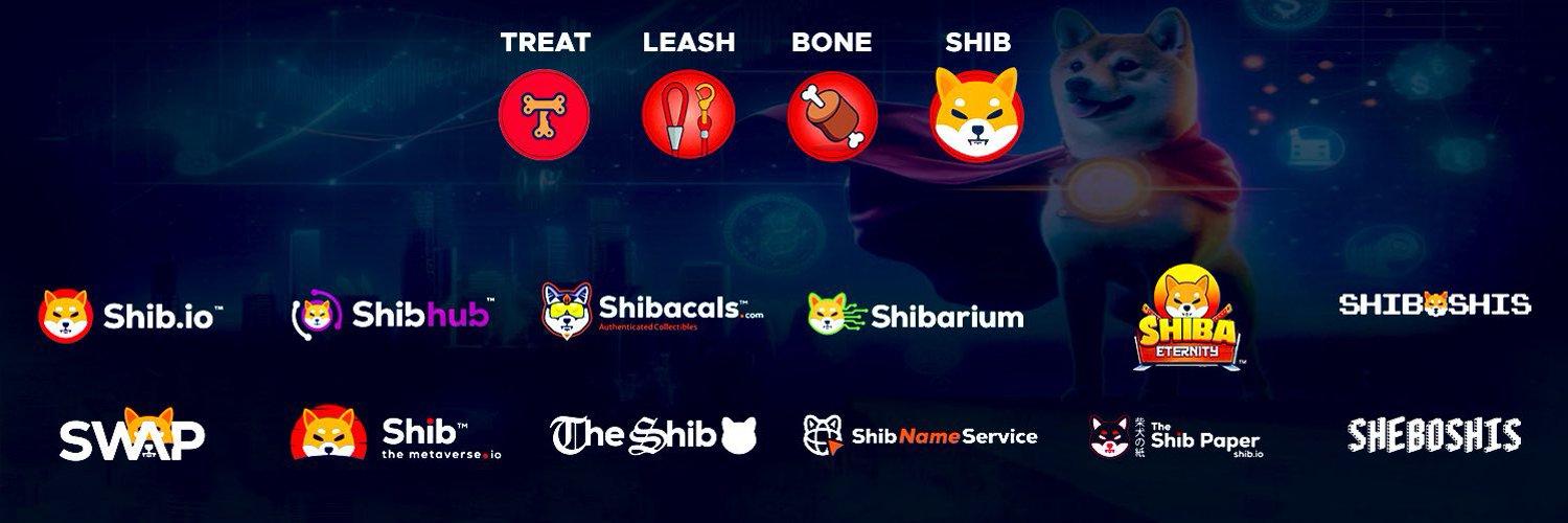 SHIB x CCDOG cover