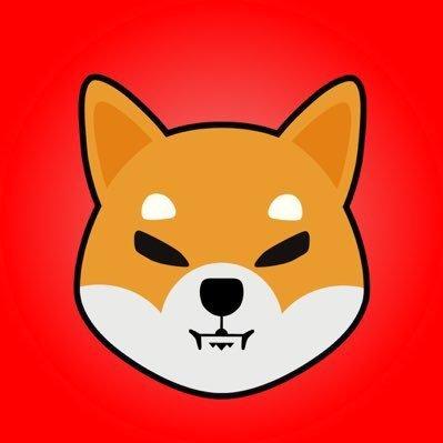 SHIB x CCDOG