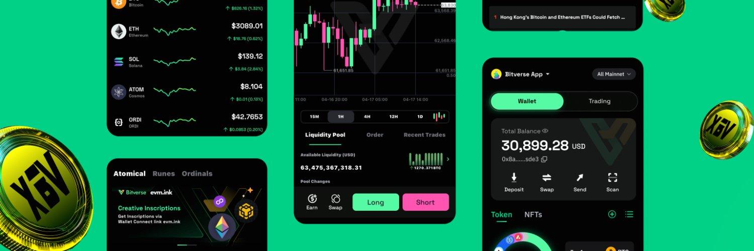 Bitverse Dollar cover