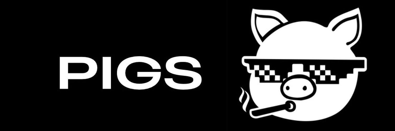 Pigs cover