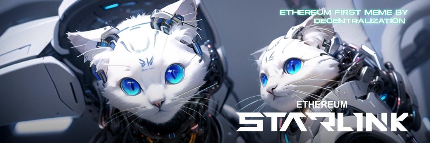 Starlink cover