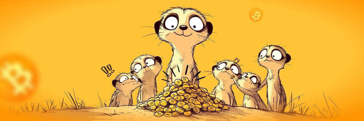 Timon cover