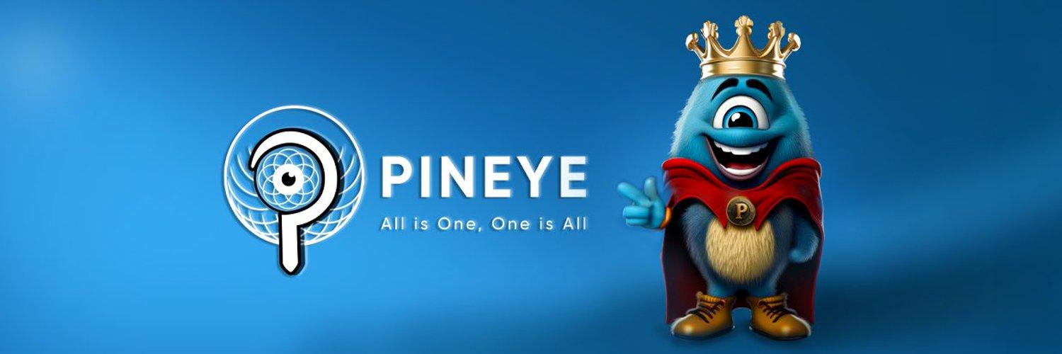 PinEye cover